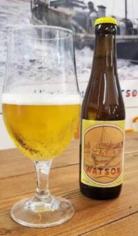 1 flesje Watson bier